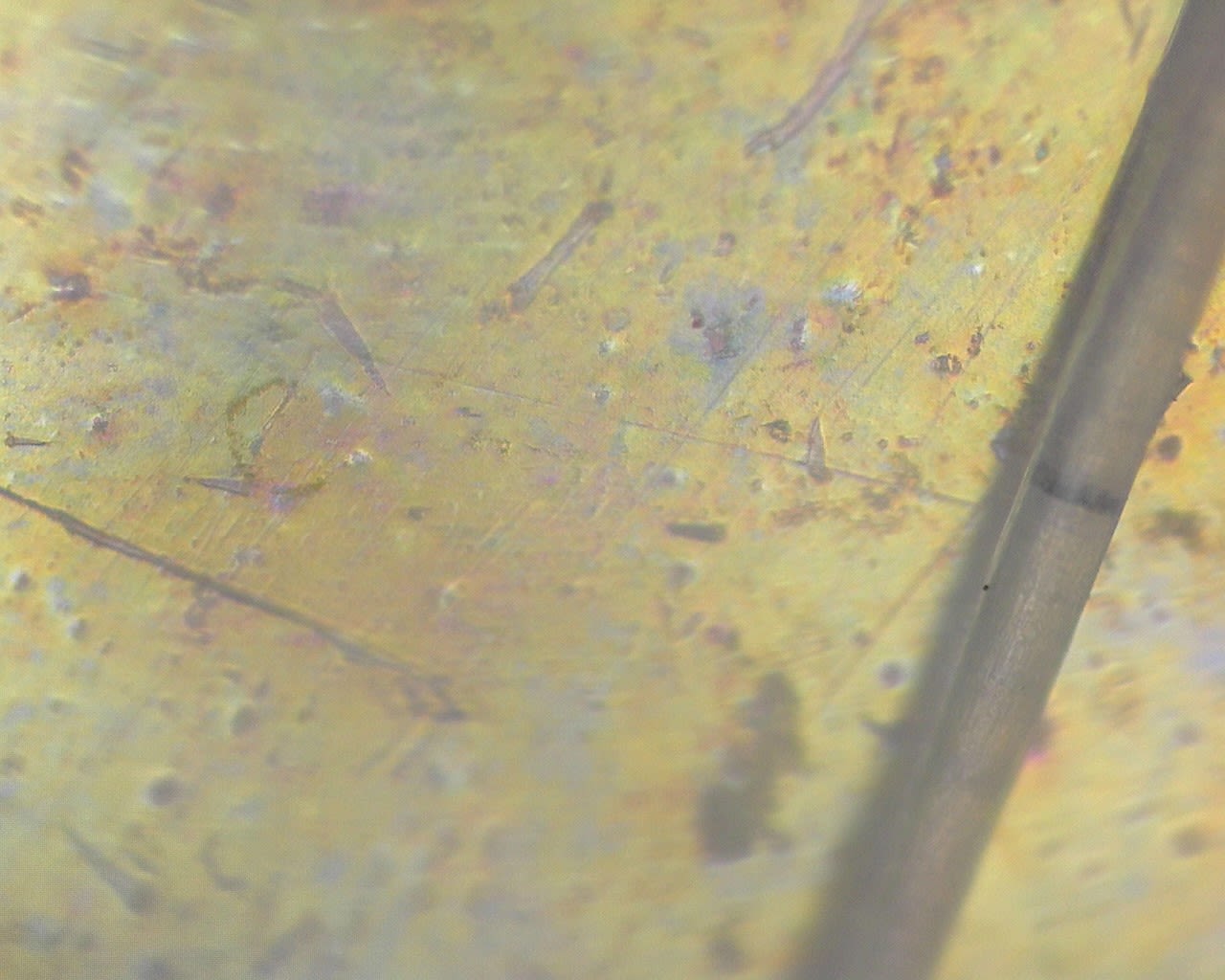 A microscope image of a textured and pitted yellow and blue surface
