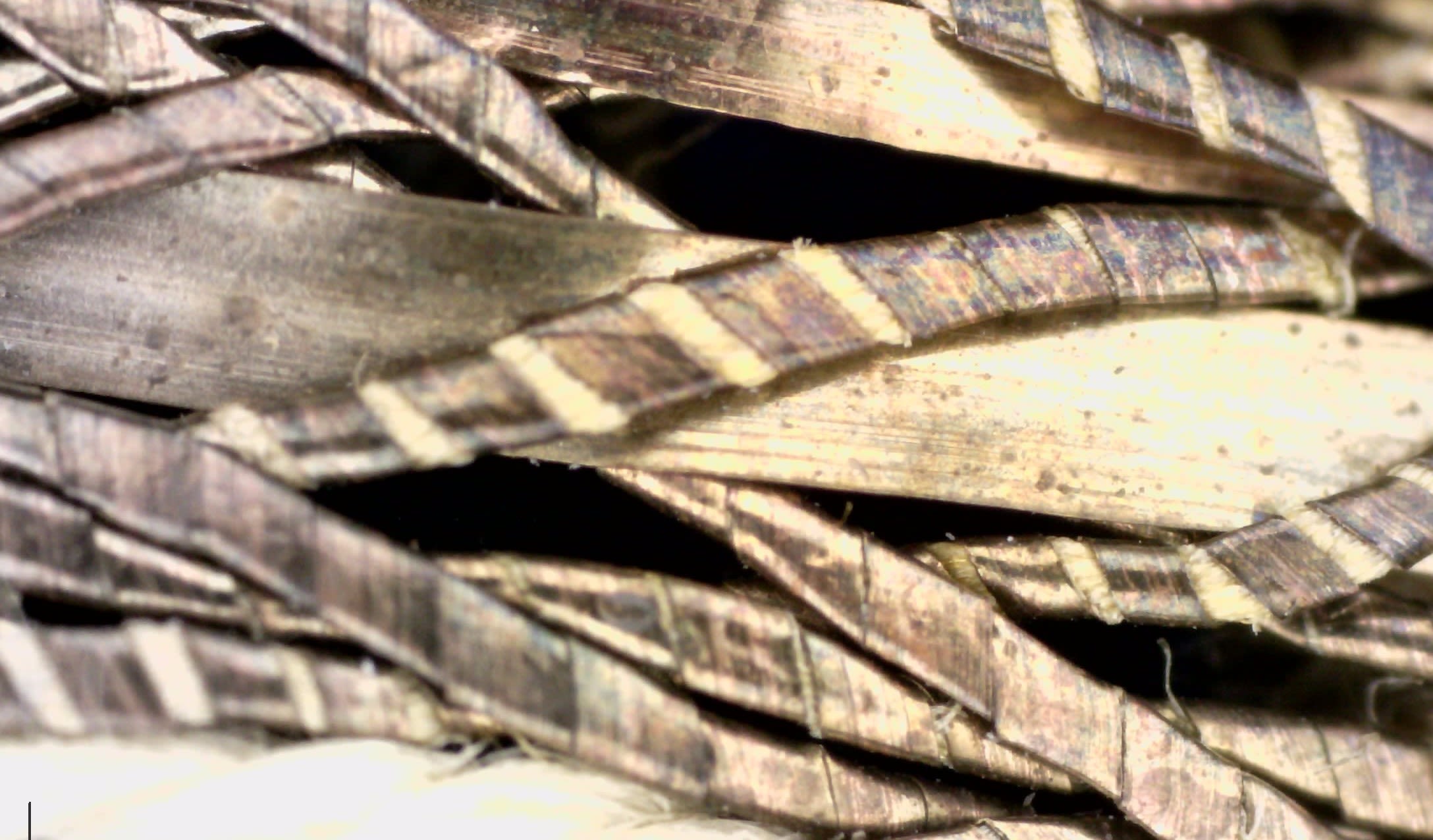A microscope image of different size metallic threads intertwined