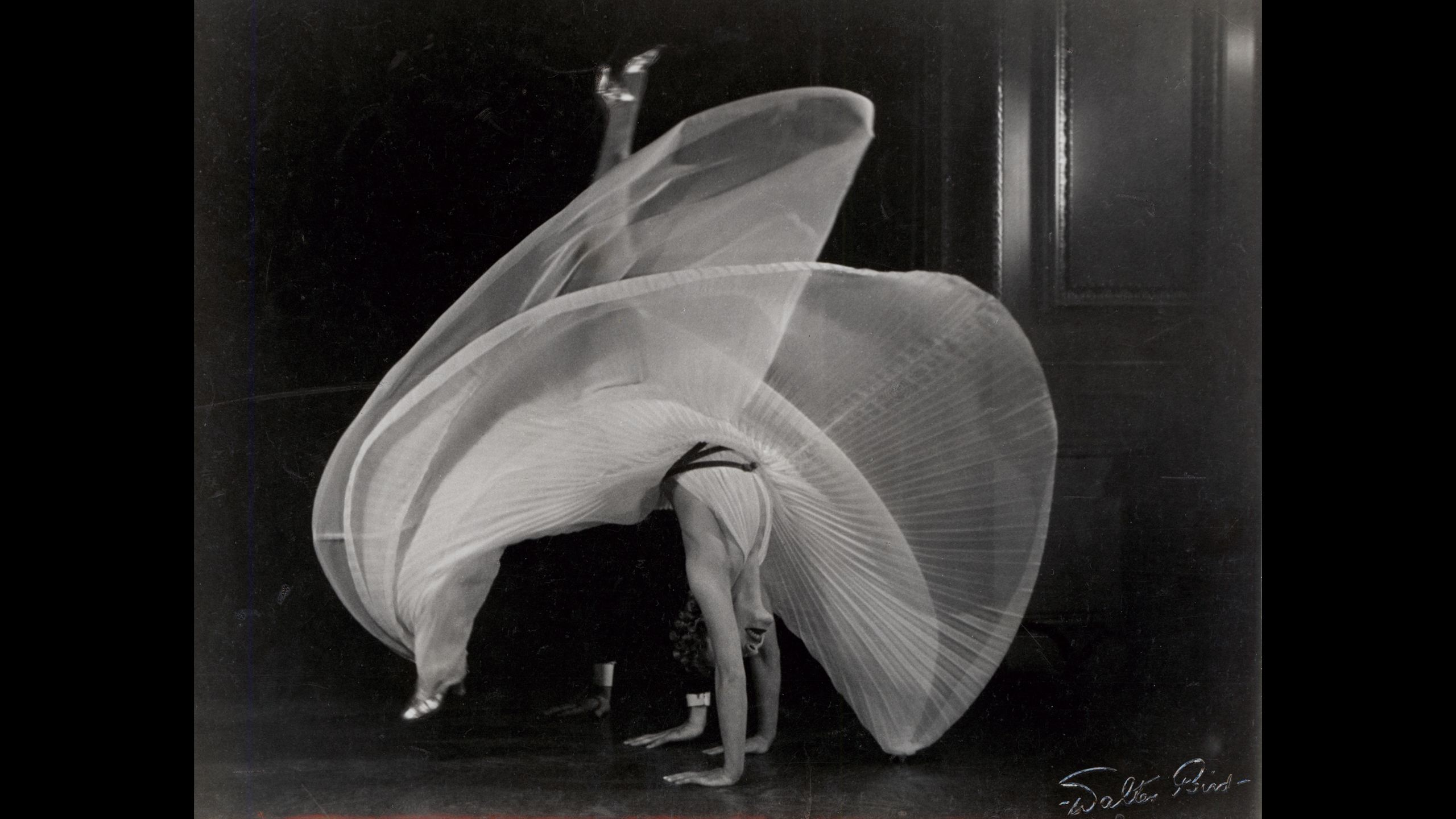 Female dancer wearing a flowing chiffon gown performs a move standing on her hands with her legs fanning over, the gown has fanned into a full arc.
