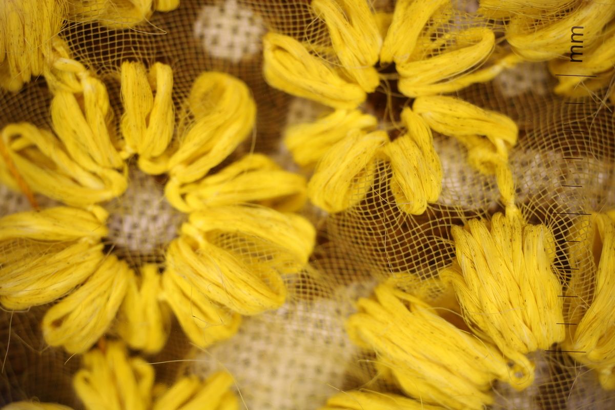 Macro photograph showing detail of embroidery on net backing from Lakmé