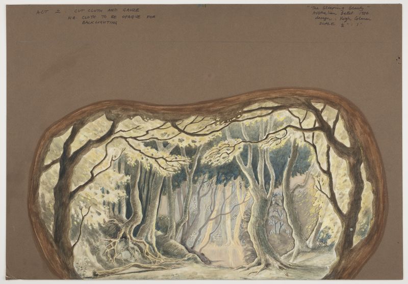 A design for a woodland scene, with a surround of branches.